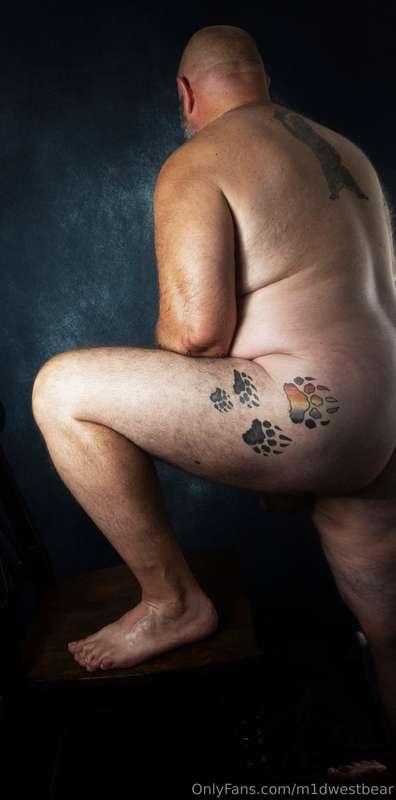 m1dwestbear image #15