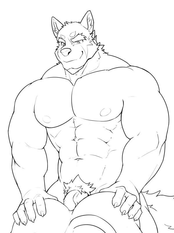 Volga lineart