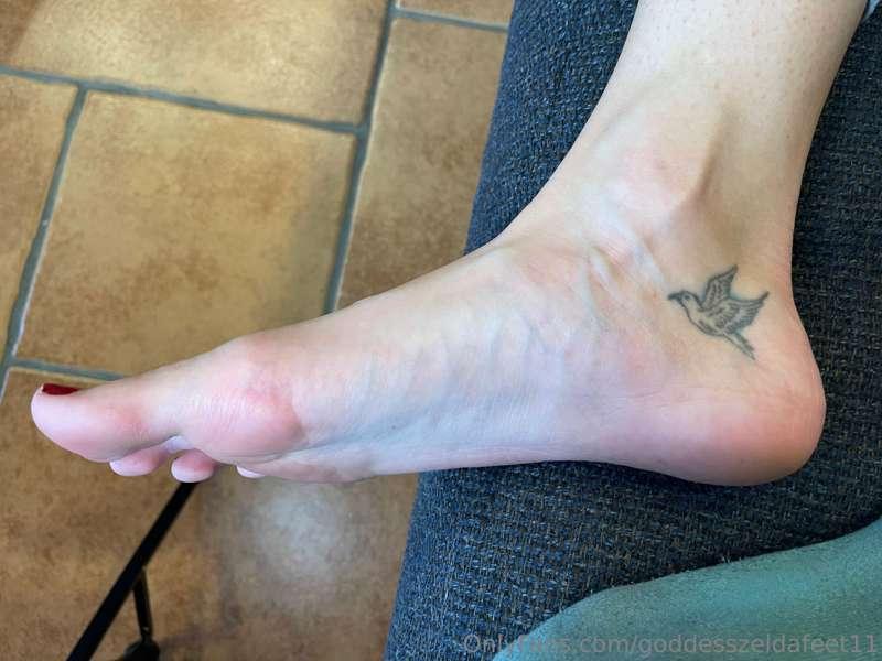 goddesszeldafeet11 image #8