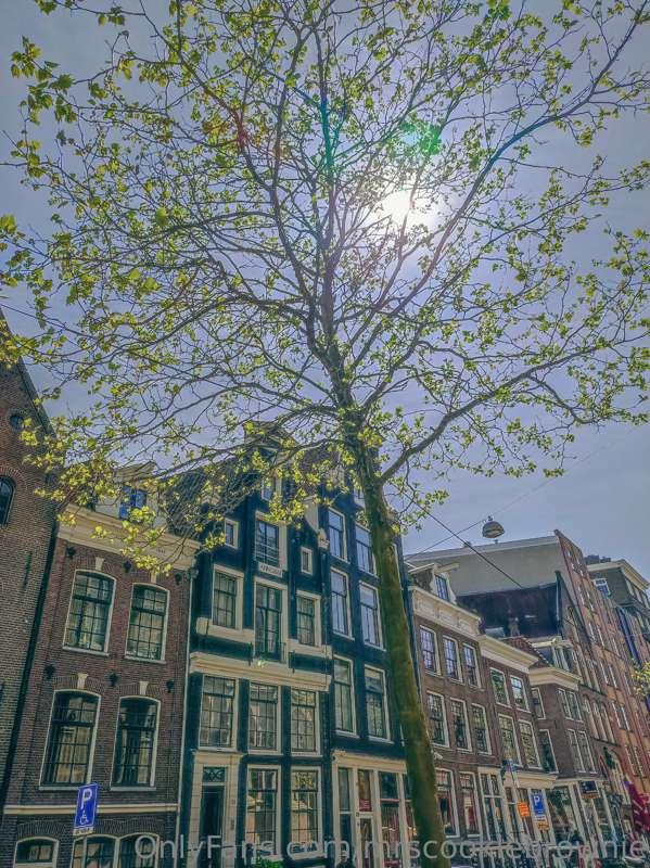 Ever been to Amsterdam before? ❣️