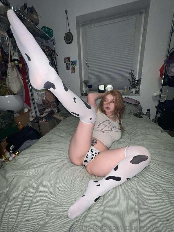 🐮