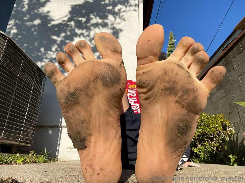 robb_master image #1