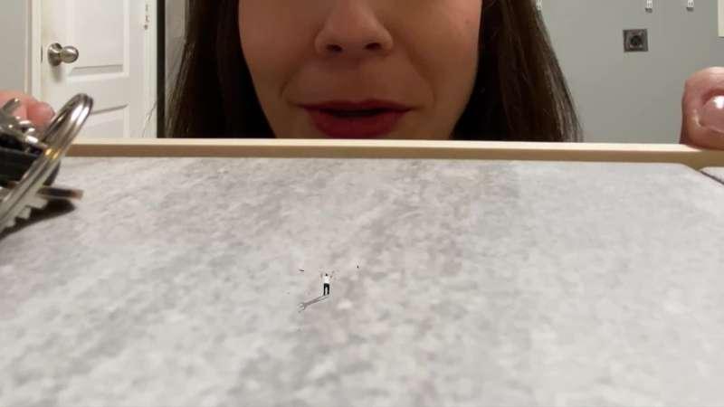 Just a bug