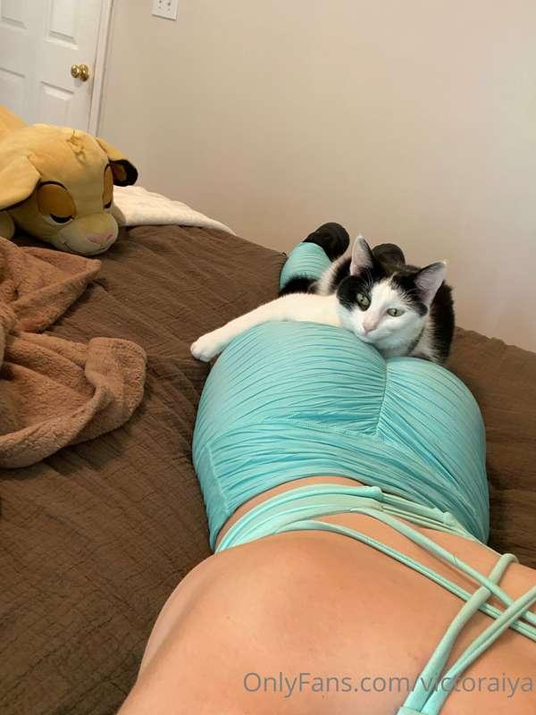 Picasso does not want me to workout this morning …