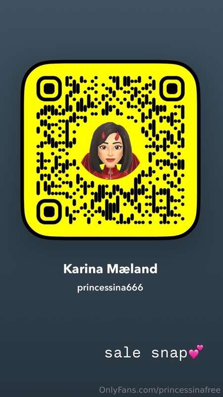 sale snap