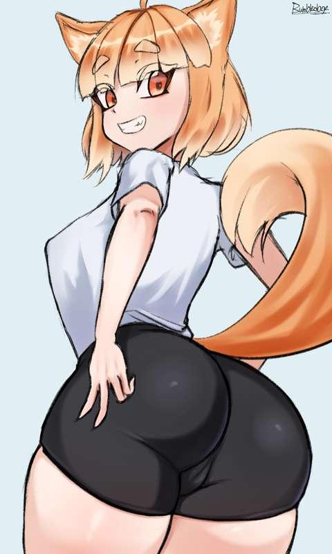 Shiba in spats - High-Res