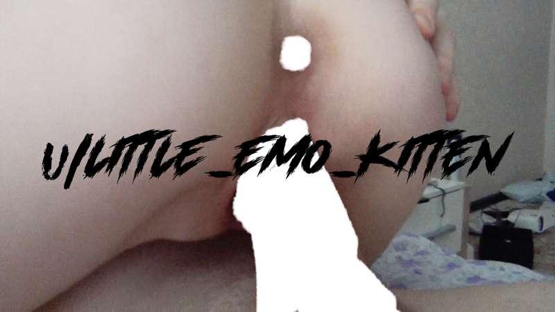 little_emo_kitten image #0