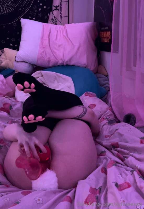 sylvieesxo image #0