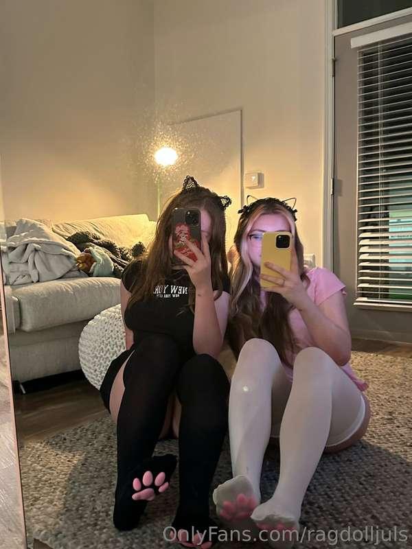 meow 🐱 want more of us? :D