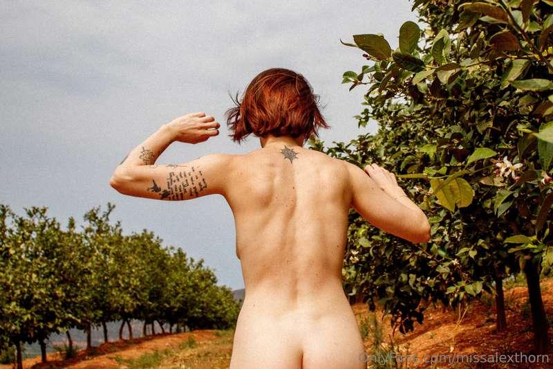 missalexthorn image #9