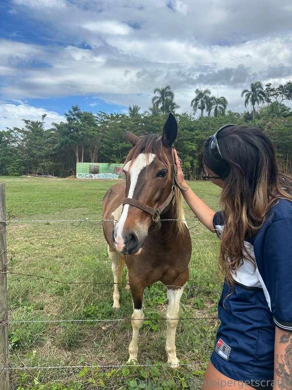 taught myself how to ride a horse with tips and pointers fro..