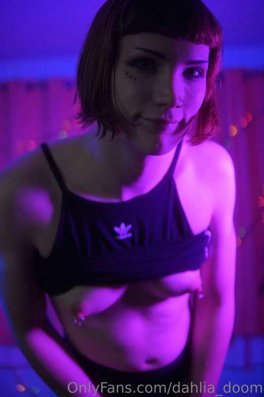 dahlia_doom image #7