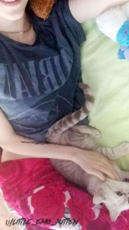 little_emo_kitten image #10