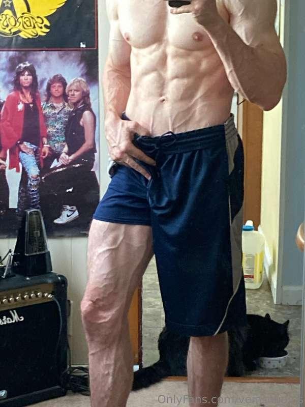 veins