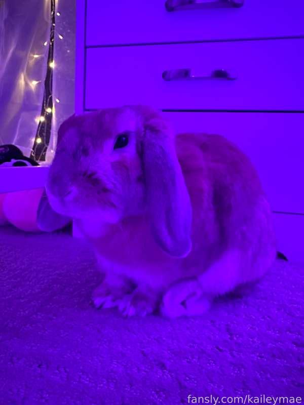 kaileymae image #3