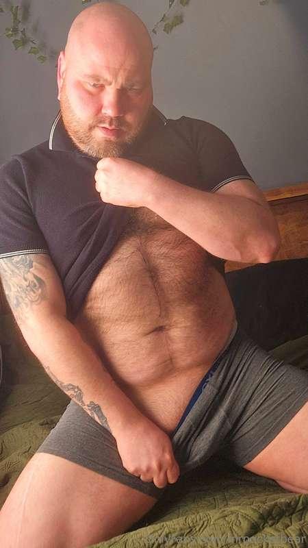 mrpocketbear image #1