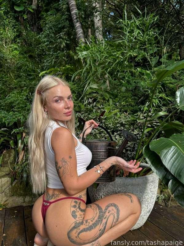 Can I sit on your face? 

#mootshaving #tashmoot
#fyp #tashapaige #creampiegirl #blonde
#tattoos #tattooedgirl #streamer #tiktokgirls #nudetiktok #streamergirls #blueeyes
 #fakeboobs #gymgirls #thickthighs #frenchtoe #nicefeet #fatpussy #hairypussy #pinkasshole #pawg #nippletattoos #creampieslut #cuminpussy #facefucking #cumonface #cumeating #tashapaigeee #tashpaige