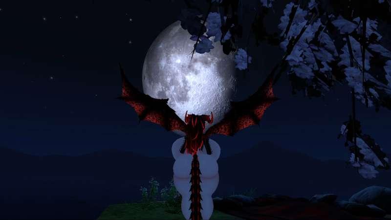 Lonesome Night