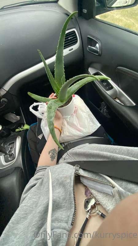 Rescued this chÖnkey Aloe plant and had some super good humm..