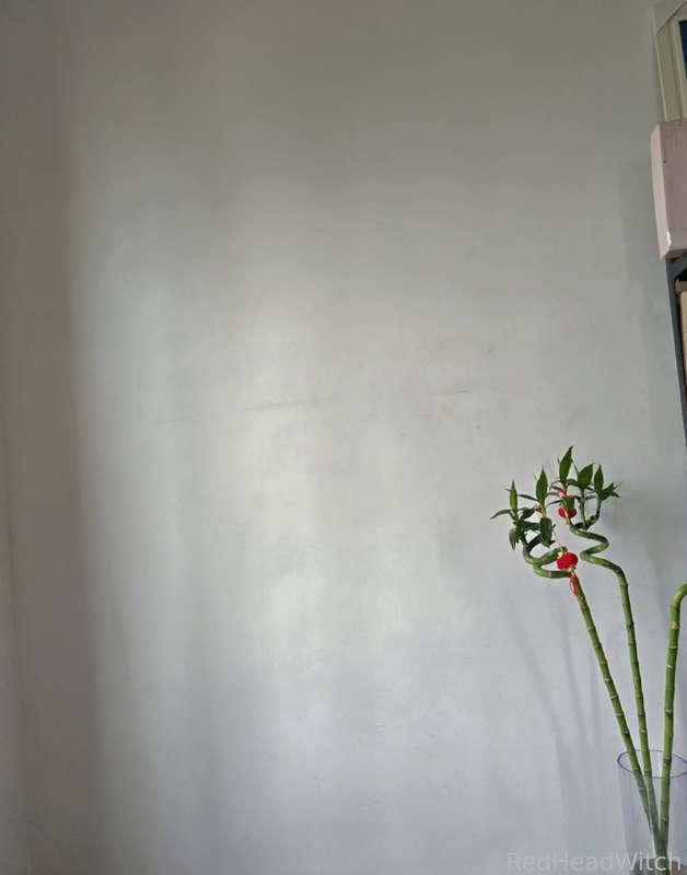 aphrodite_thewitch image #1