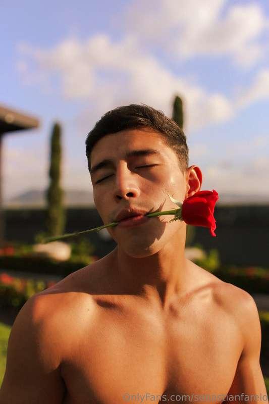 “Take off my rose of my mouth and start kissing me as if the..