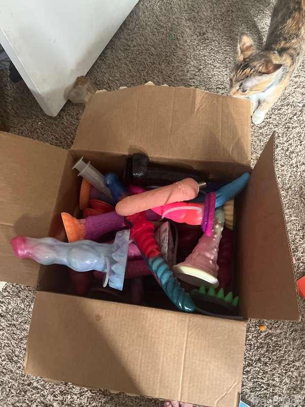 trashdoll image #3