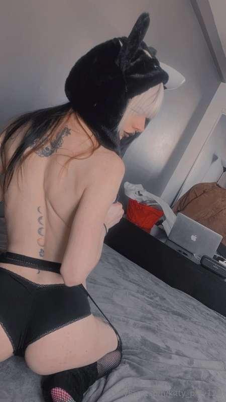 kitty_play123 image #0