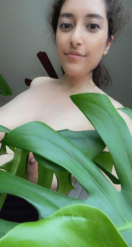 zarasutra main image