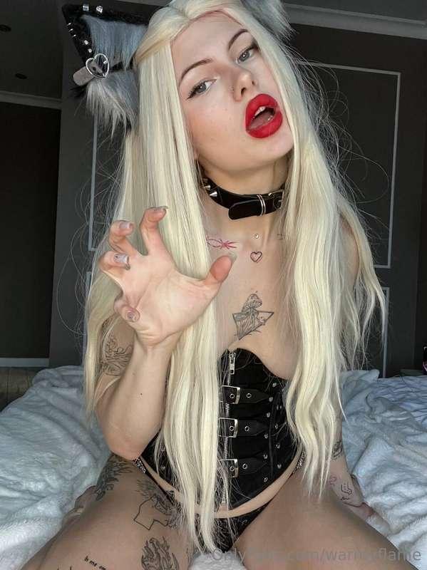 Your cat's waiting for you in bed😈