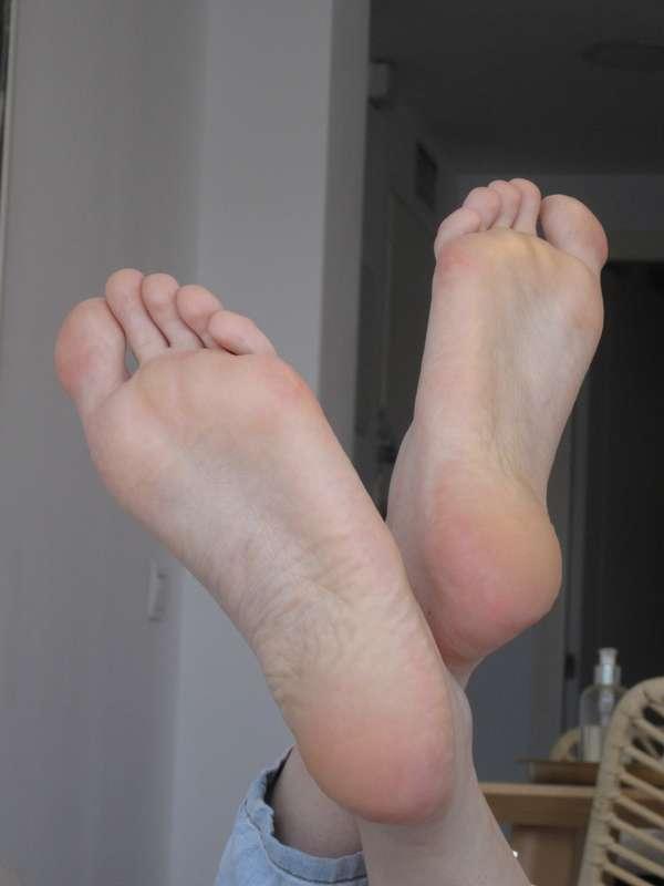 neolasoles image #11