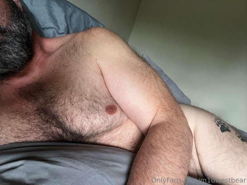 m1dwestbear image #0