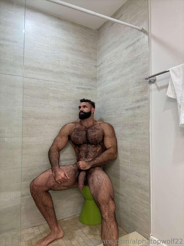 alphatopwolf22 image #0