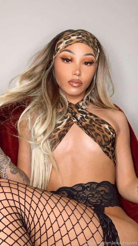 stuffyfluffy main image