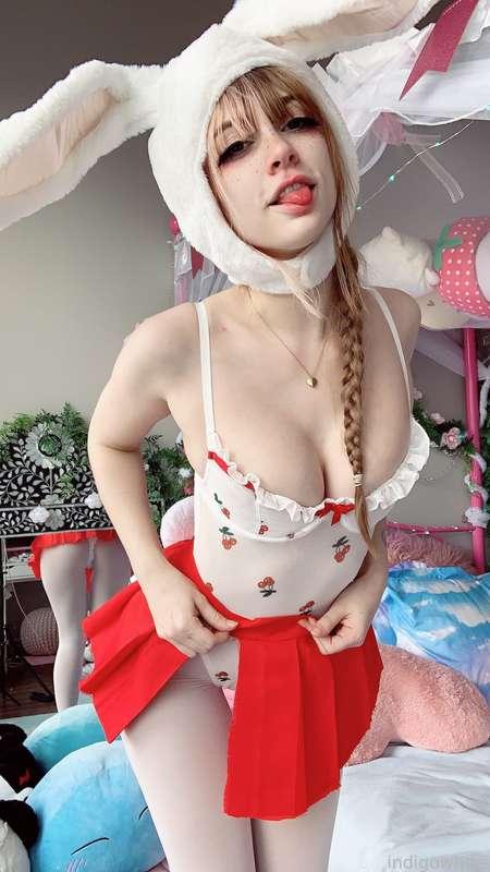 indigowhite image #136