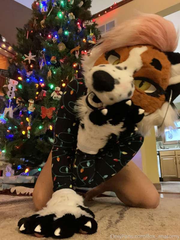 Tell foxy what you want for Christmas baby