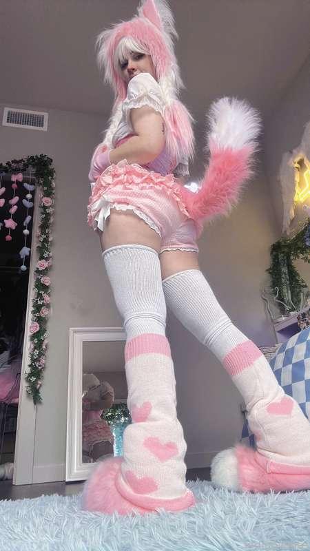 indigowhite image #15