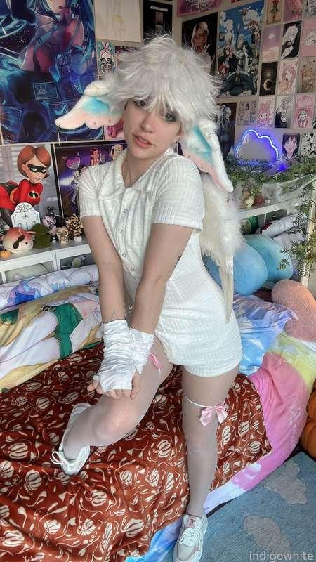 indigowhite image #167