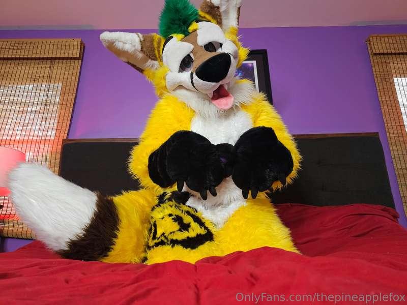 thepineapplefox image #4