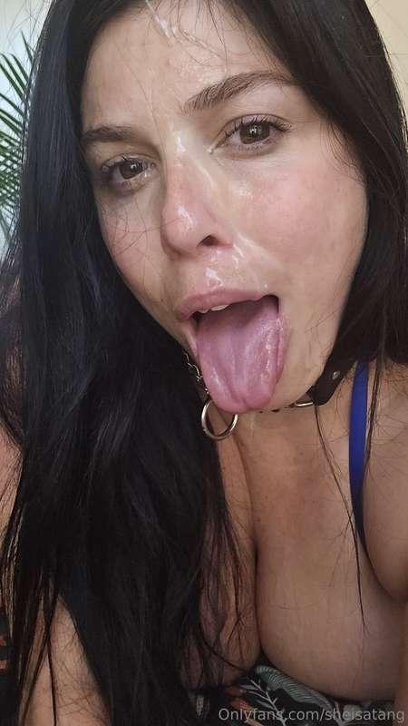 Taking customs and cock rates this week! Message me if you w..