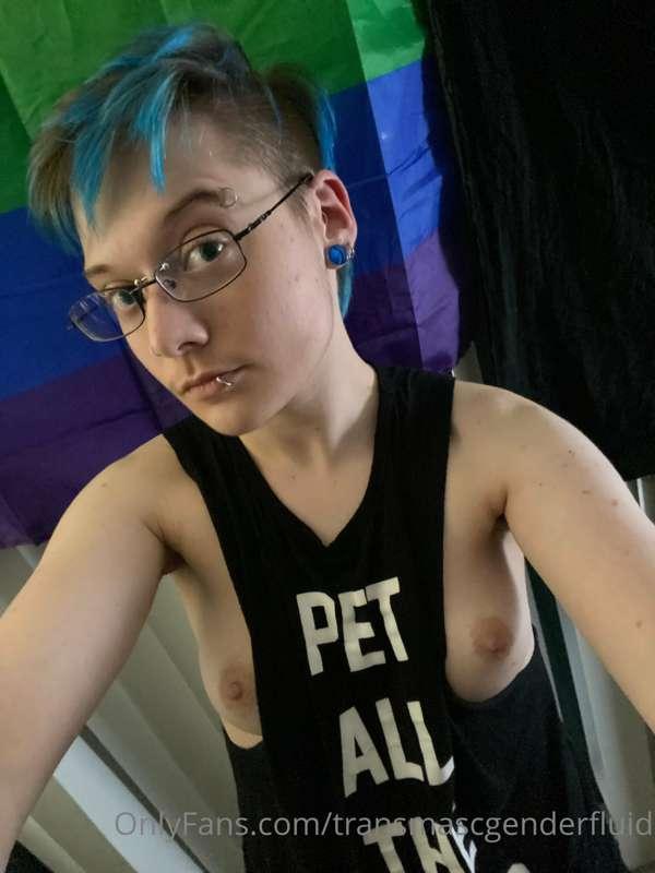 I love this shirt - it says pet all the dogs. My main reason..