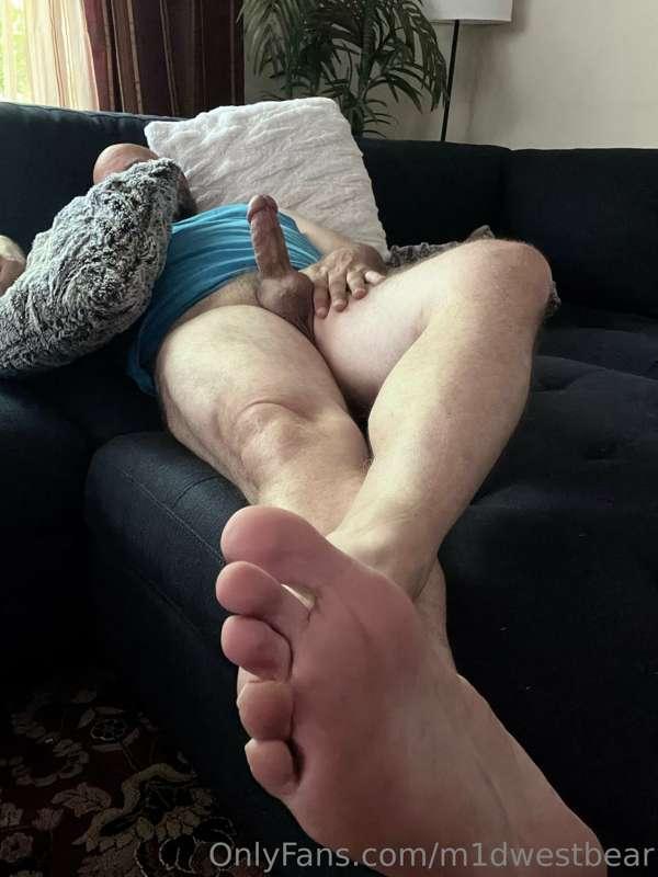 m1dwestbear image #3