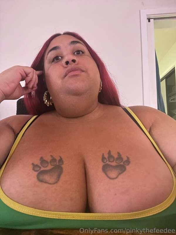 pinkythefeedee image #0