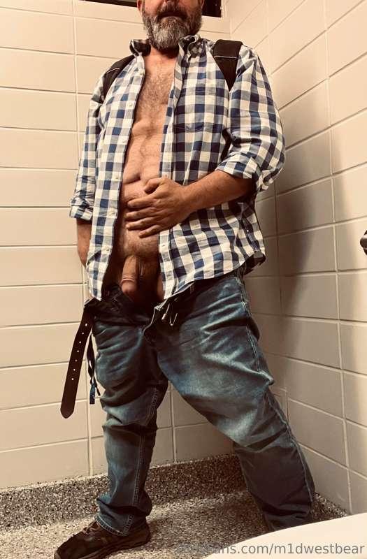 m1dwestbear image #1