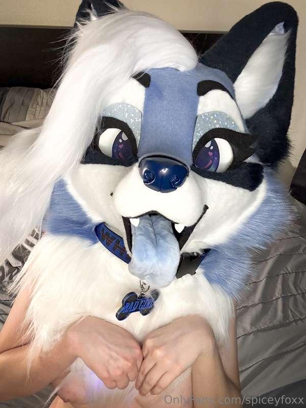 spiceyfoxx image #2