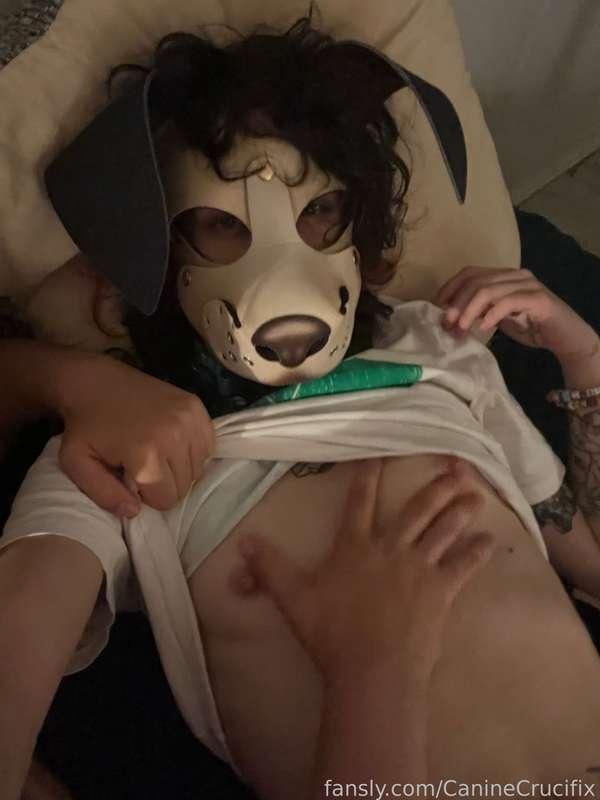 caninecrucifix image #2