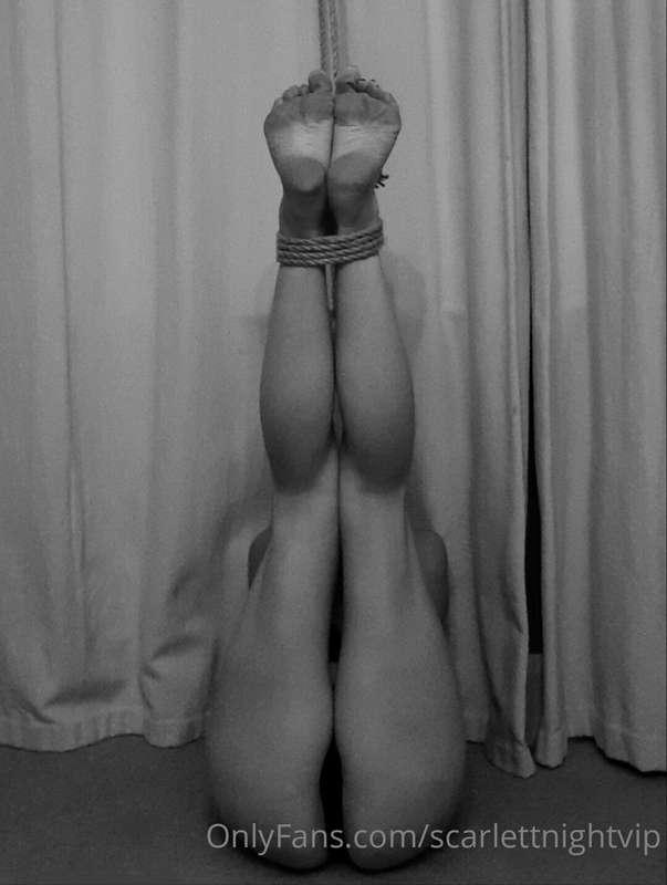 **If you obey all the rules you miss all the fun** ➰️