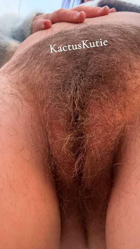 kactuskutie image #1