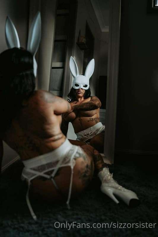 🐰