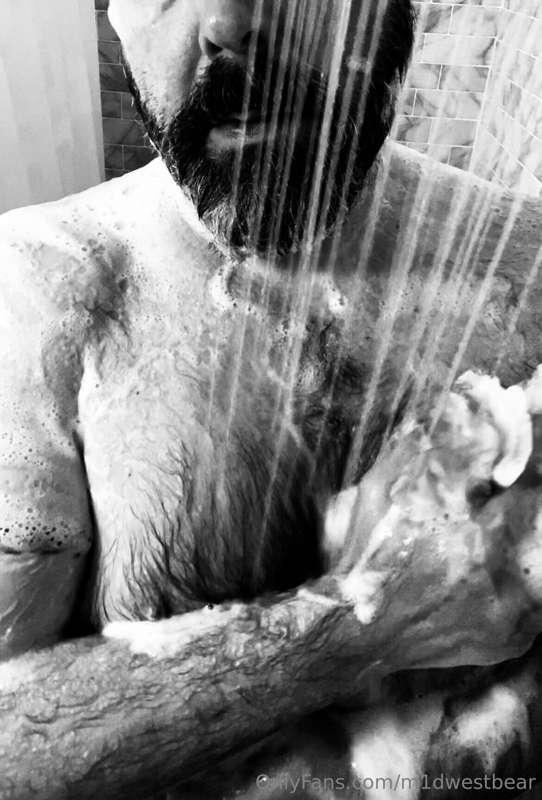 m1dwestbear image #6