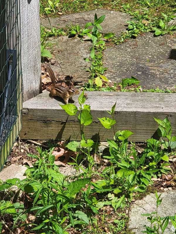 My little friend